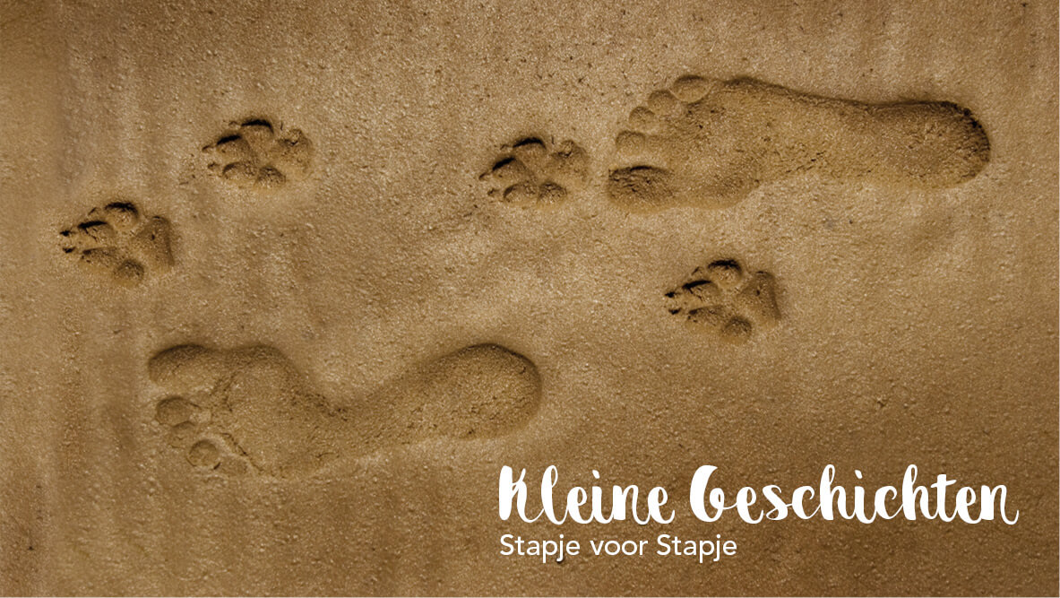 Kleine Geschichten – Stapje voor stapje