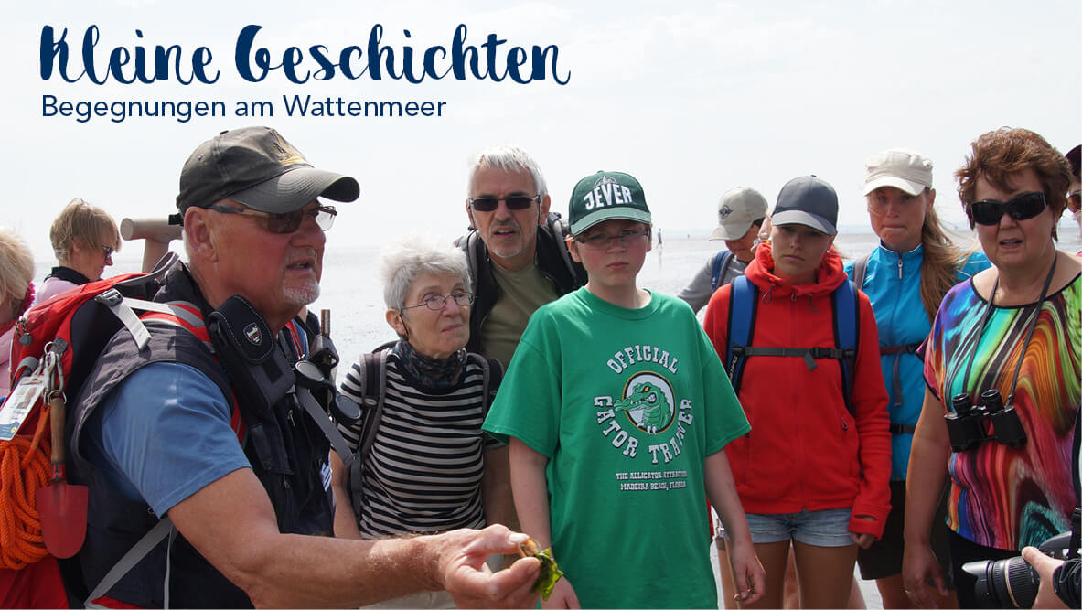 Begegnungen am Wattenmeer