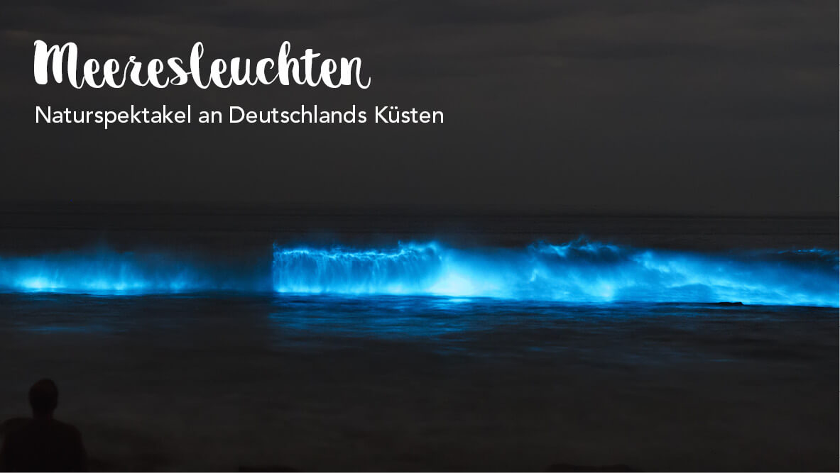 Meeresleuchten – Naturspektakel an Deutschlands Küsten
