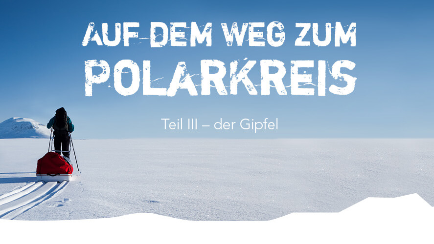 Polar Rockstars – Bärenwache in der Mitternachtssonne