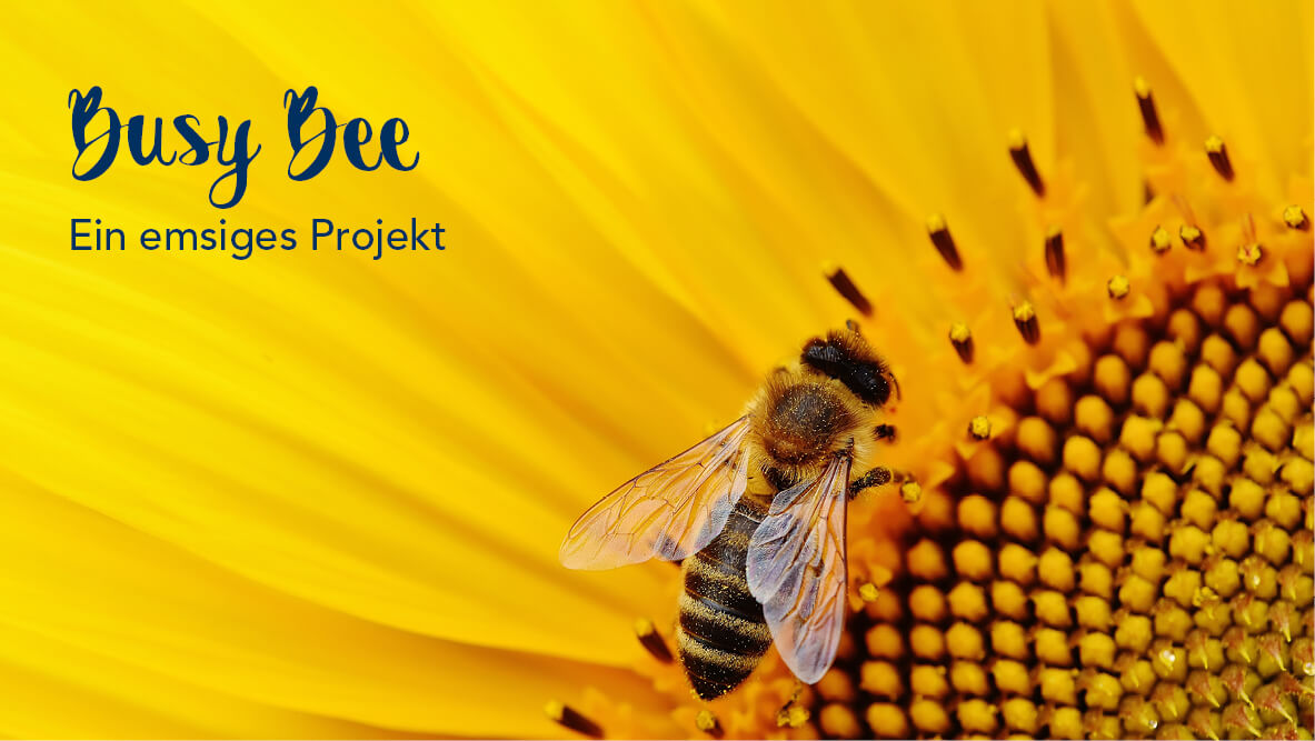 Busy Bee – ein emsiges Projekt!