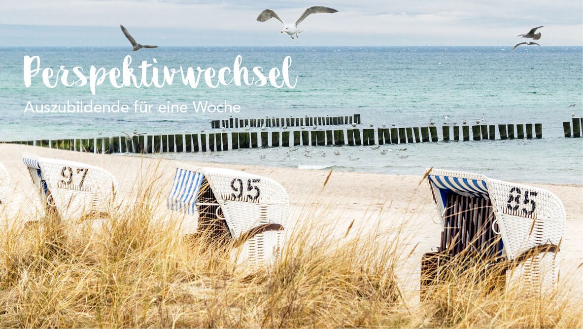Perspektivwechsel – Auszubildende für eine Woche