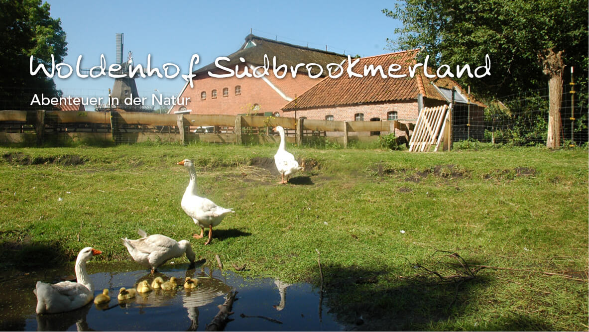 Woldenhof Südbrookmerland –Abenteuer in der Natur