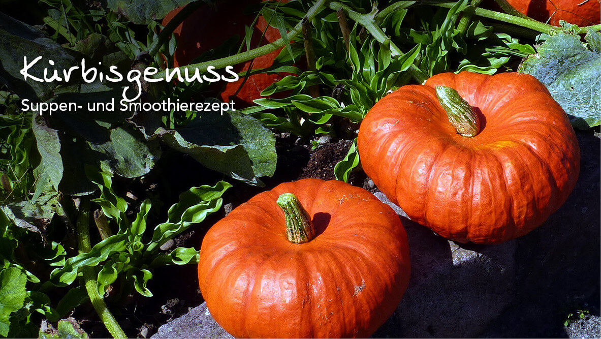 Leckeres für den Herbst – Kürbisrezepte