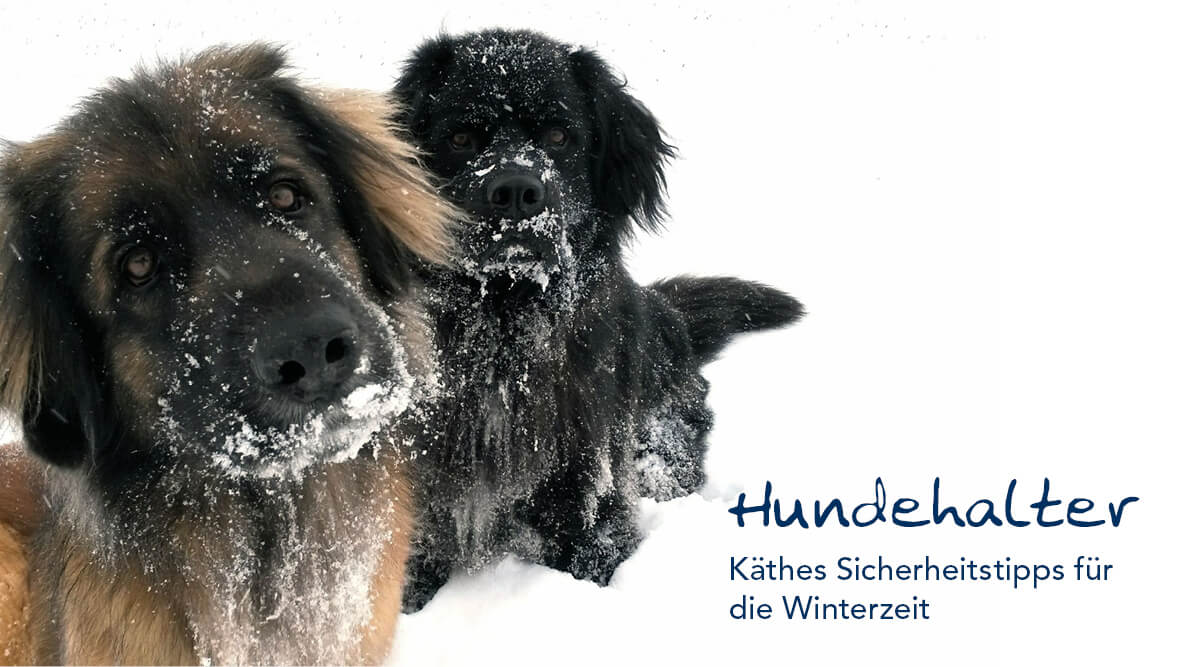 Gut gerüstet gegen die Dunkelheit – Käthe gibt Sicherheitstipps für Hund & Halter!
