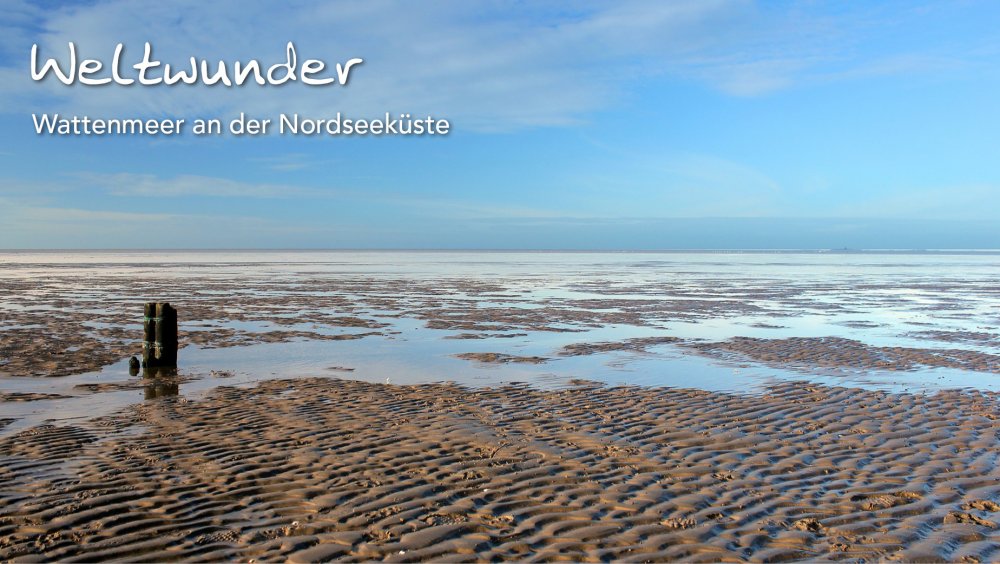 Wattenmeer