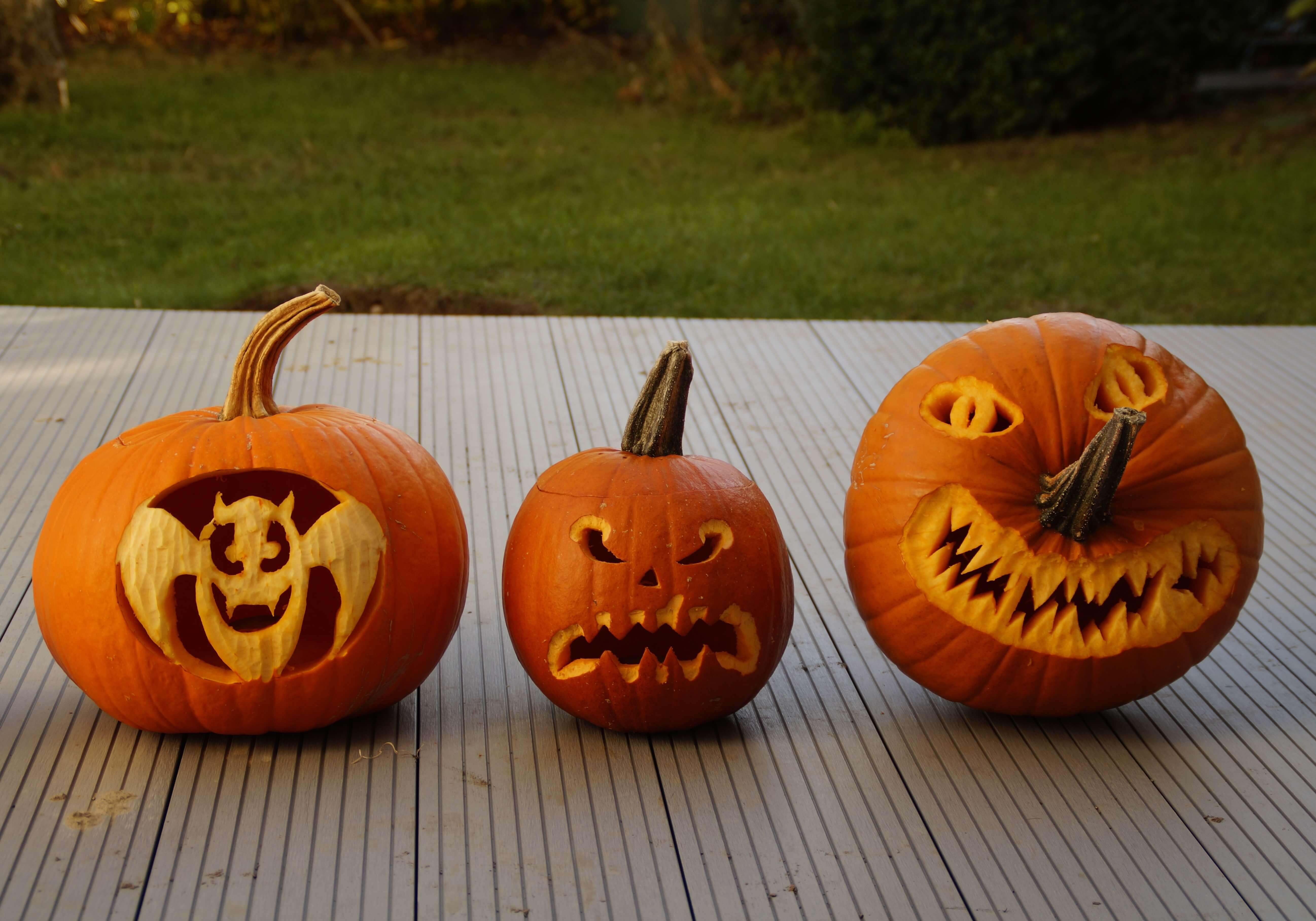 Cut Halloween 1798080